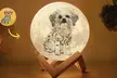 Personalized Moon Lamps at Justyling with Up To 92% Off - Image 2