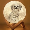 Image 2: Personalized Moon Lamps