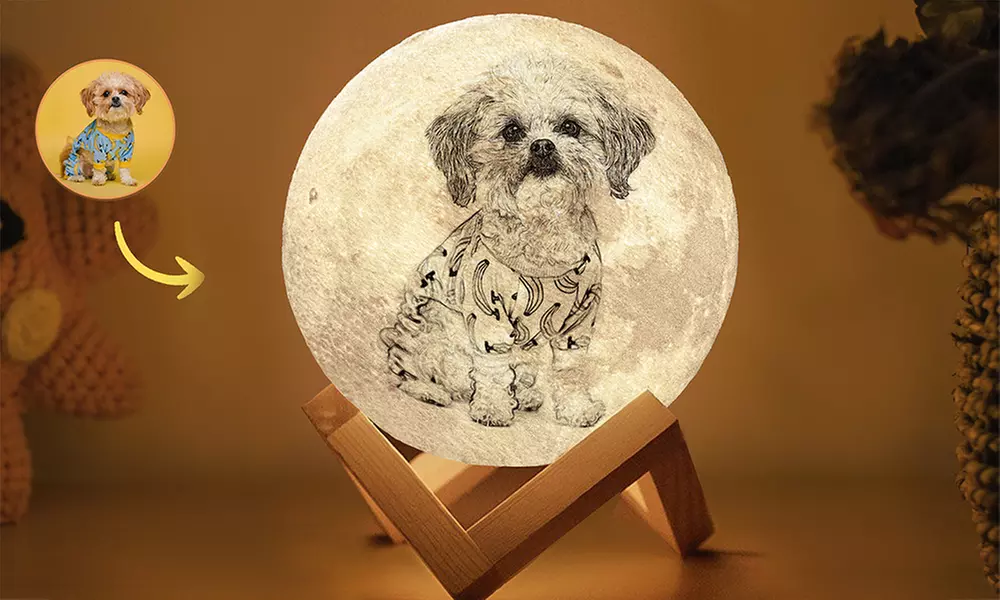 Personalized Moon Lamps
