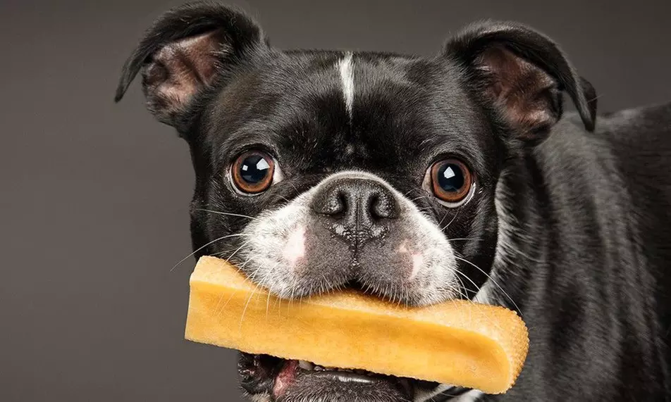 $5 for Himalayan Yak Cheese Dog Chews Subscription from Yak Chews Club ($31.99 Value) - Primary Image