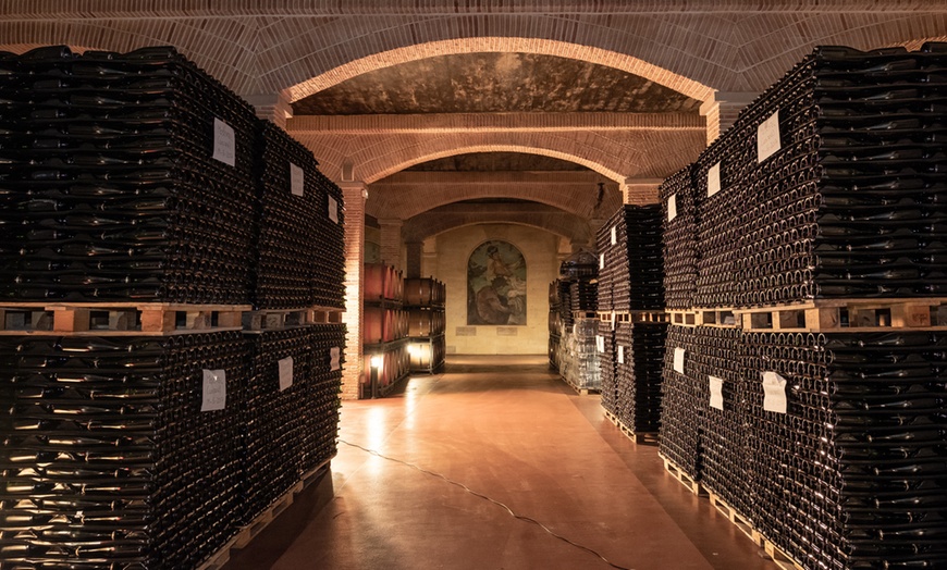 Image 3: Visita guiada a bodega con cata de 4 vinos, 2 AOVE y embutidos