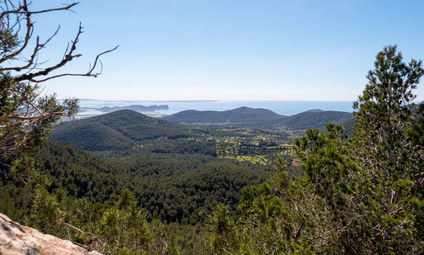 Image 9: ✈ Ibiza Nights: 7 Days with Flight, Wheels & Chill Pack from Worldee  