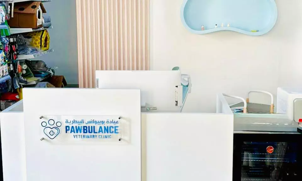 Pet Boarding & Daycare Packages for Cats and Dogs of All Sizes