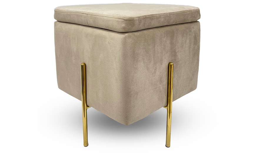 Image 12: Pouf contenitore in velluto