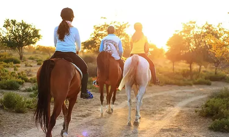 Ruta a caballo con opción a clase de iniciación para 1, 2 o 4 personas