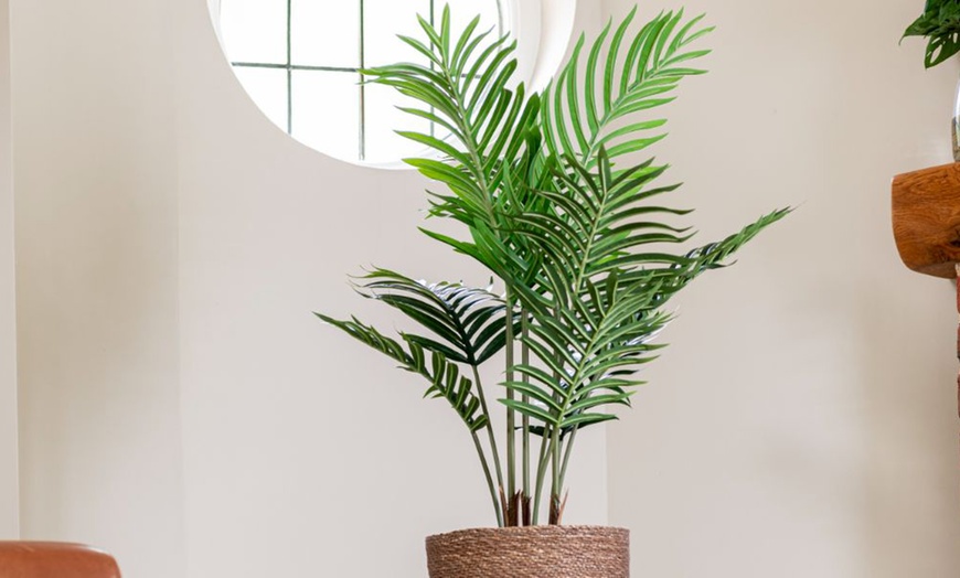 Image 16: Artificial Plants and Trees - Bamboo, Ficus, Olive and Palm