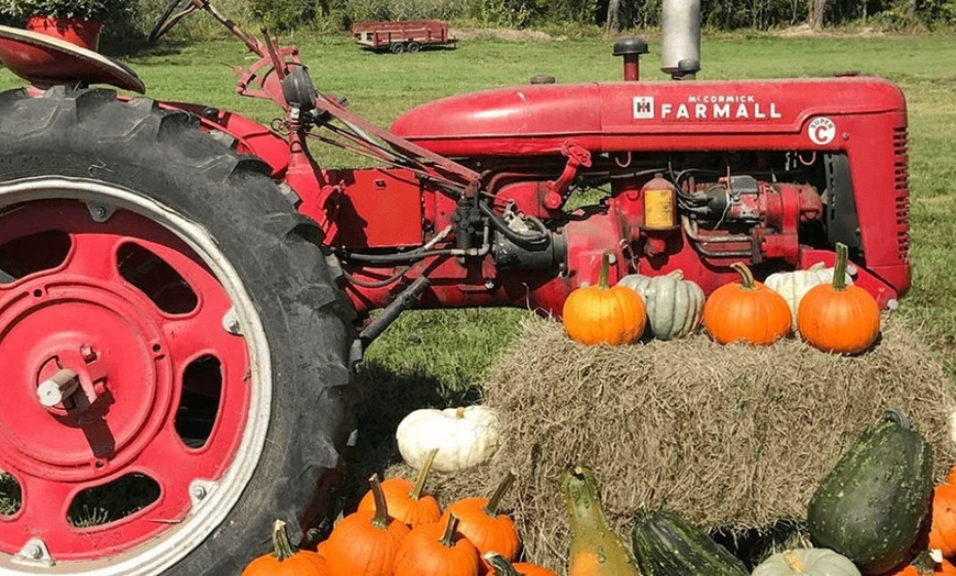 Image 9: Farmtastic Day to Pick Your Own Pumpkins, Solo or Family of 1-4 People