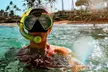 Oahu Full-Day Circle Island Tour with 10 Stops & Snorkeling with Aloha Fantasy Tours (Up to 57% Off) - Second Medium