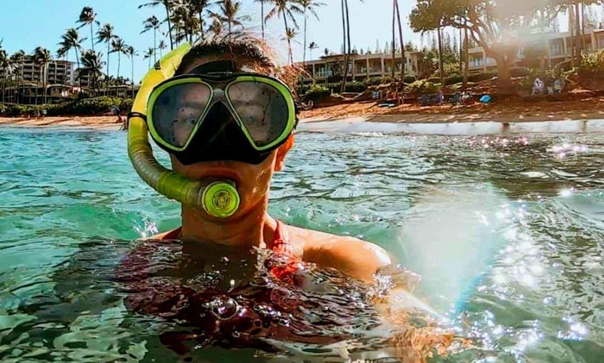 Image 4: Up to 57% Off Oahu Full-Day Island Tour - Aloha Fantasy Tours