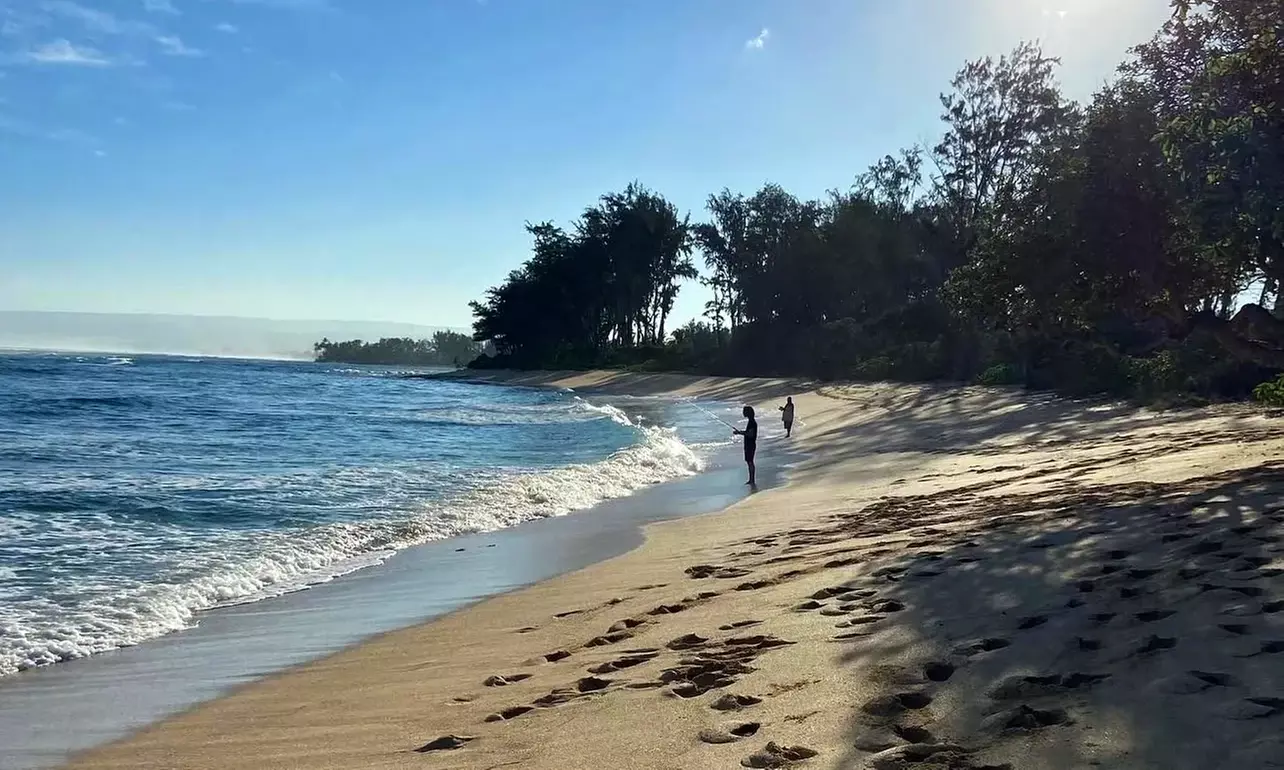 Group or Private Fishing Tour for Two or Four People