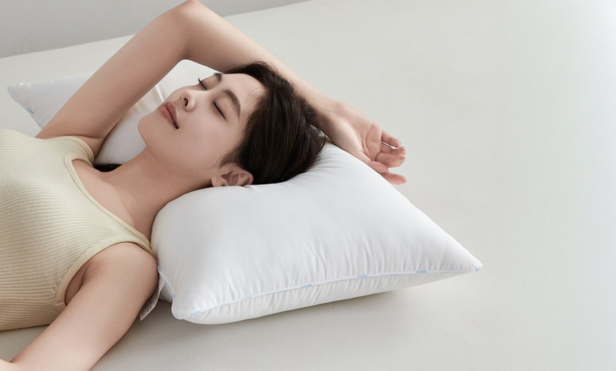 Image 18: Pure Cotton Luxury Hotel Pillow Duo
