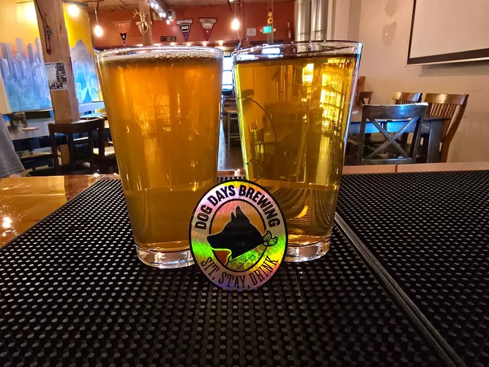 Experience Craft Brews with $30, or $60 to Use at Dog Days Brewing! 