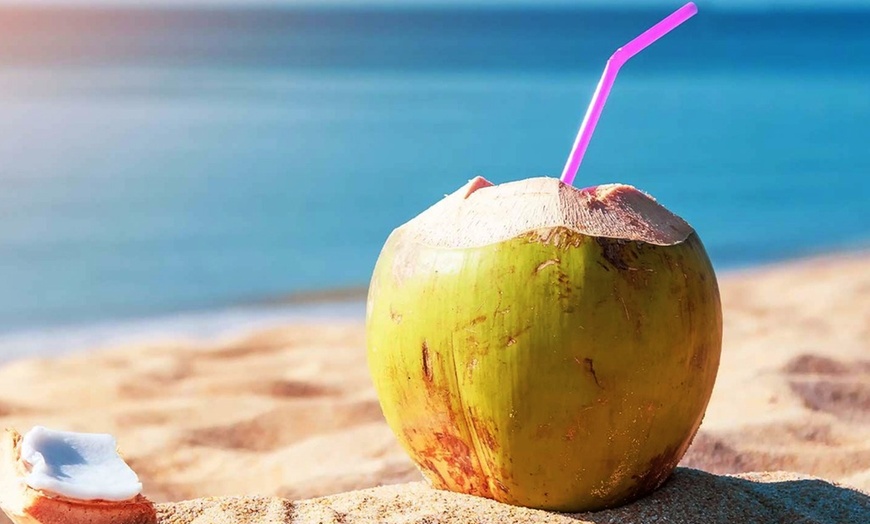 Image 11: Up to 55% Off Oahu Full-Day Island Tour - Aloha Fantasy Tours