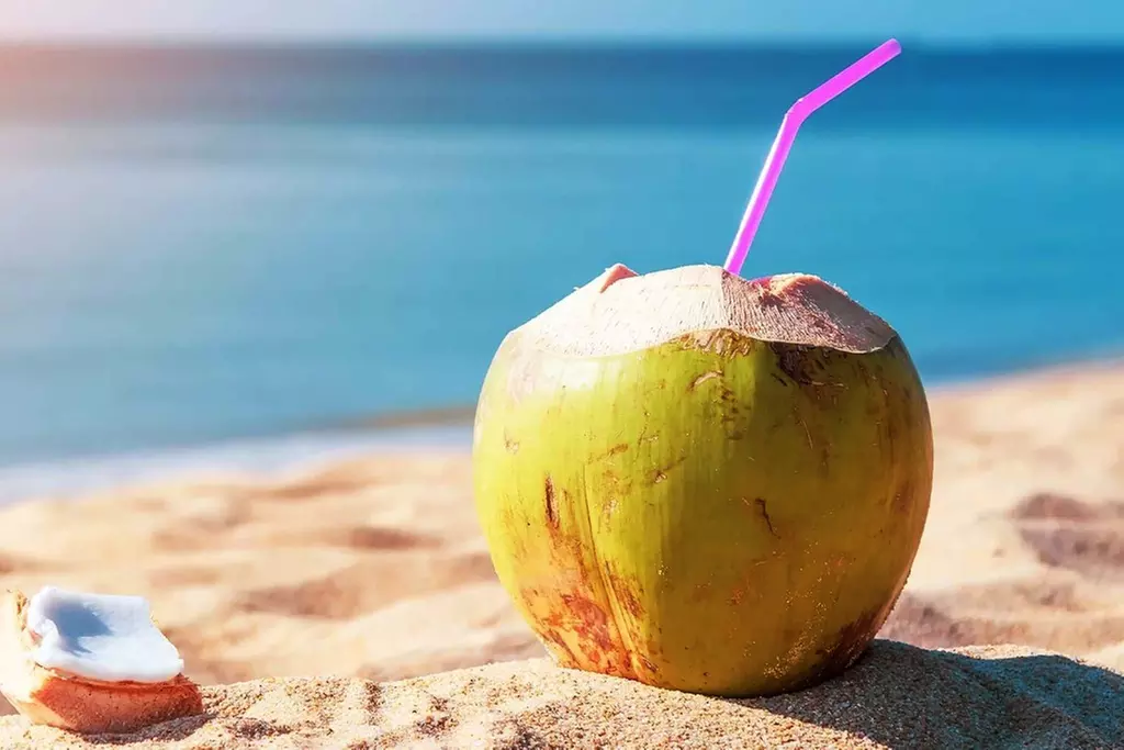 Up to 51% Off Oahu Full-Day Island Tour - Aloha Fantasy Tours