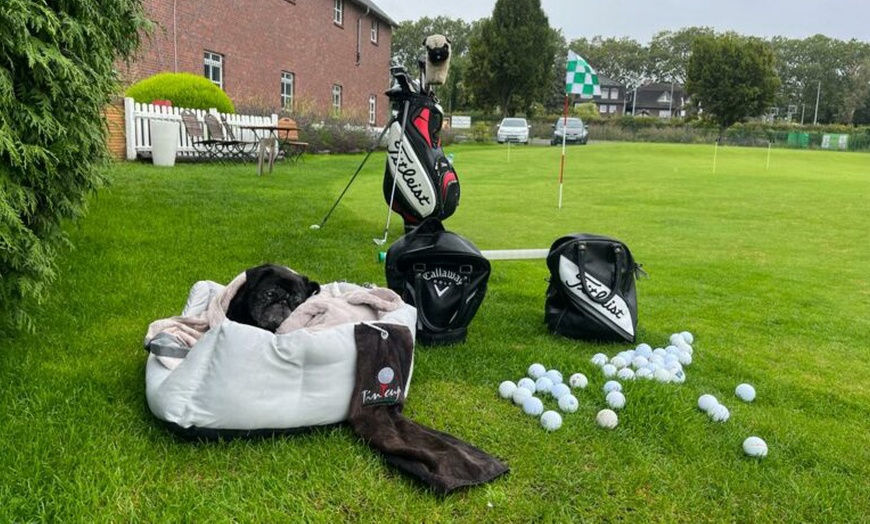 Image 6: Golf-Driver Spezialtraining – 50 Min. inkl. Tageskarte für 1 Person