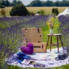 Image 1: Discover Beautiful Lavender Fields & Afternoon Tea at Finchingfield Camping with Up to 33% Off!