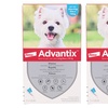 Image 17: Pipette antiparassitarie per cani Advantix