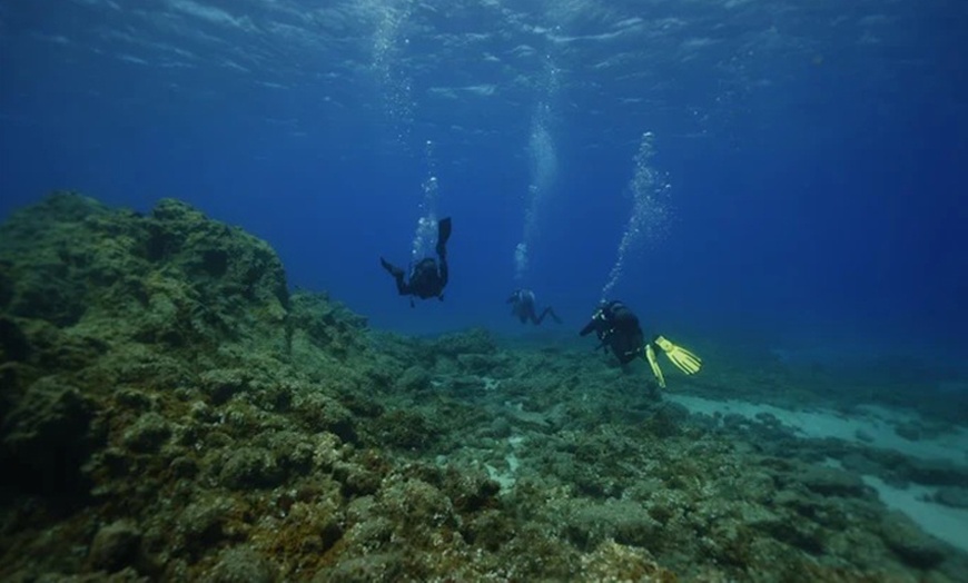 Image 3: Para 1 o 2 personas: bautismo de buceo con reportaje fotográfico