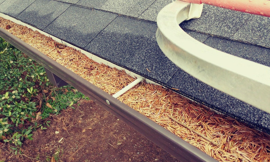 Image 3: Professional Gutter Cleaning for 1- or 2-Story