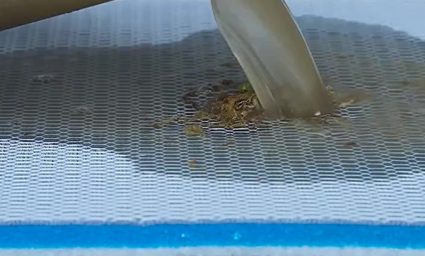 Image 2: 2 o 4 filtri a 8 strati per acquario