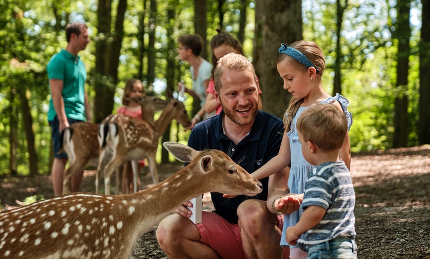 Image 9: 1 Tages-Pass für den Erlebnispark Tripsdrill am 8. oder 9. November