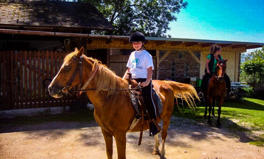 Image 19: Eberstein: 2-6 Nächte inkl. Halbpension und Parken