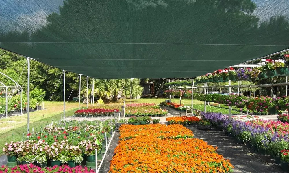 Schaduw- en privacydoek op rol