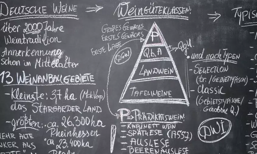 Privates Wein-Tasting in kleiner Runde inkl. Tapas für 1-2 Personen