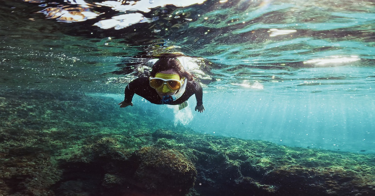 Experiencia de snorkel con biología marina en Tarragona