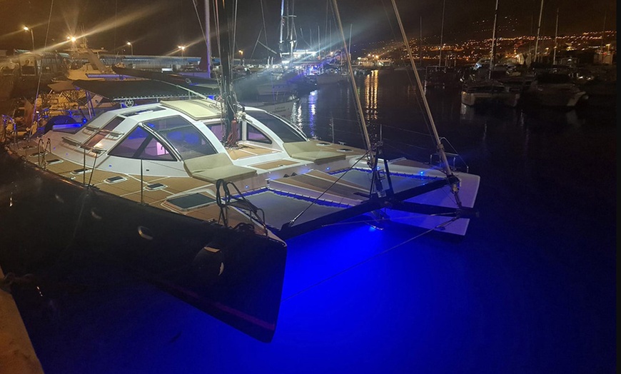 Image 9: Avistamiento de ballenas y delfines en catamarán para adultos y niños