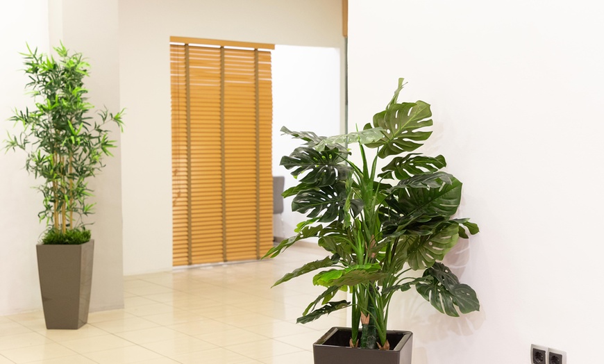 Image 4: Tratamiento reafirmante inyectado en zona a elegir