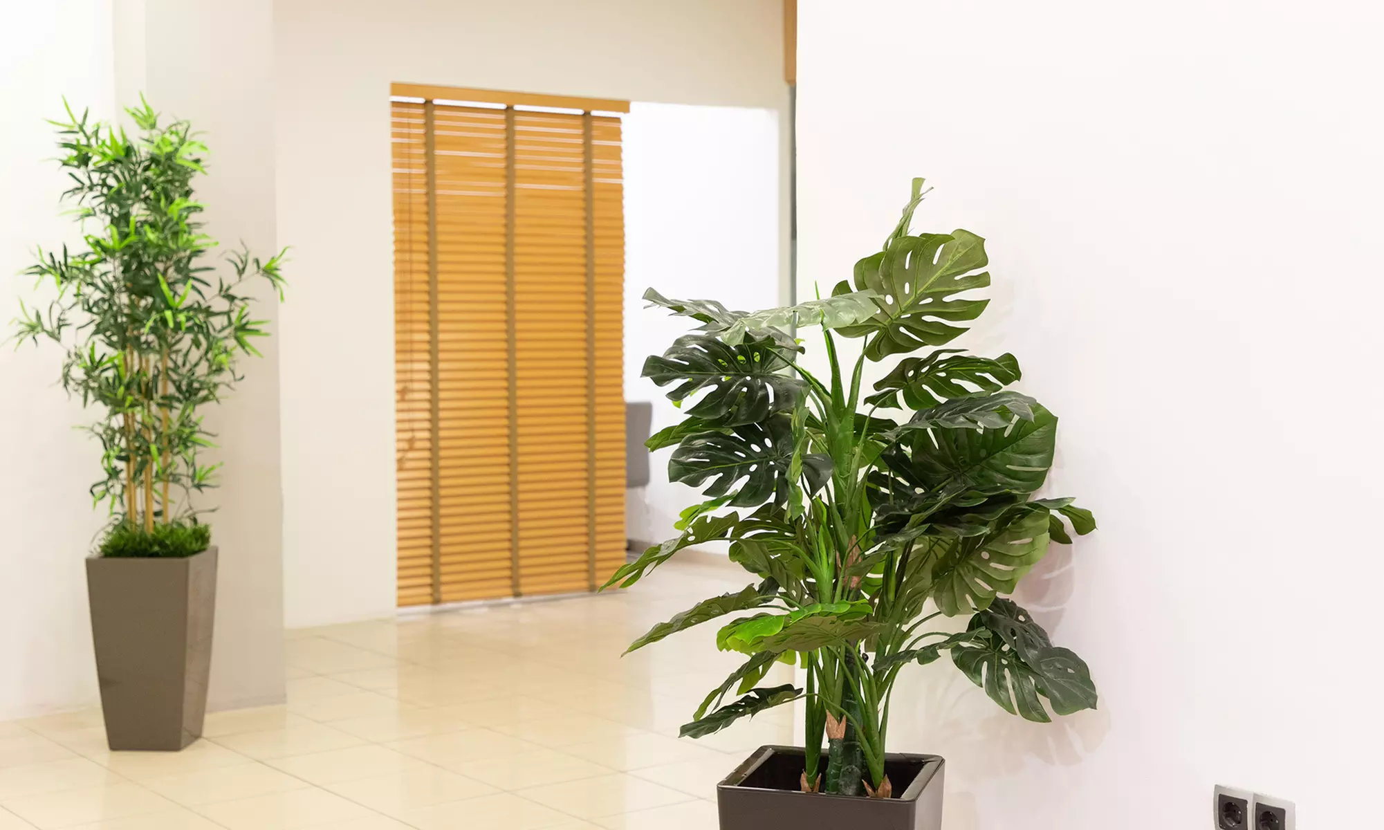 Tratamiento reafirmante inyectado en zona a elegir