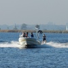 Image 8: Actief uitje op het water: waterski- of wakeboard-les