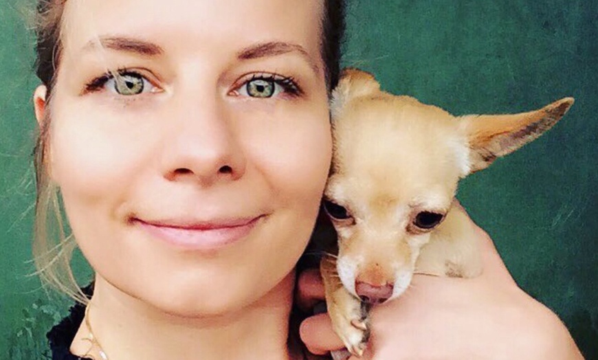 Image 6: Let Your Dog Explore with One or Five Luxury Paw-Venture Package 