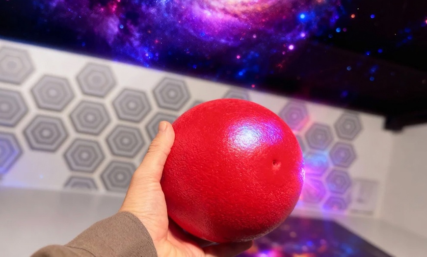 Image 4: Familienticket oder Ticket für 2 Erwachsene für das Maxibash Griesheim