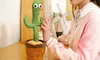 Dancing Cactus Mimicking Toy, USB Rechargeable, 120 Songs