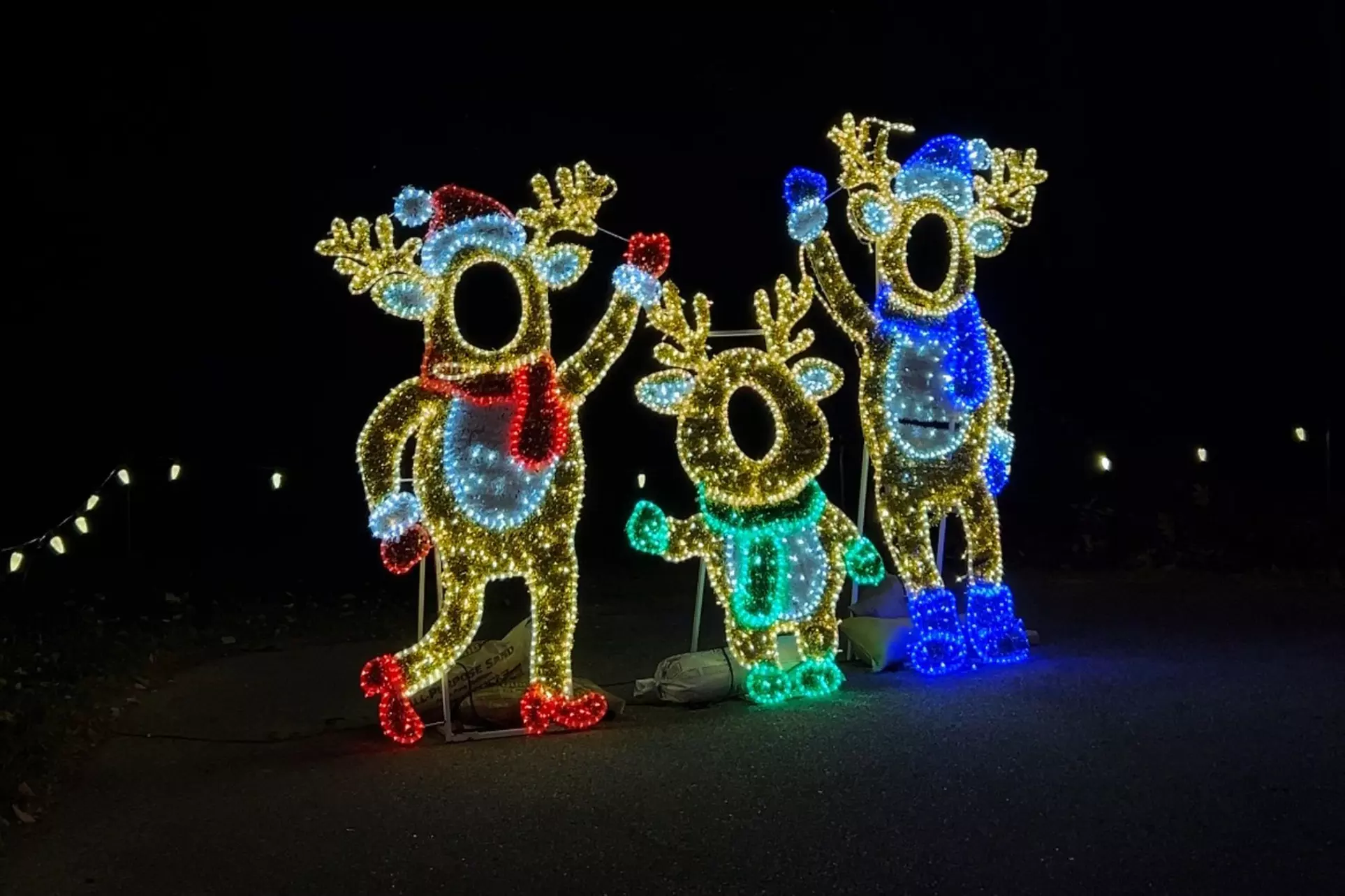 Sparkling Holiday Lights at Labelle Winery in Derry, NH
