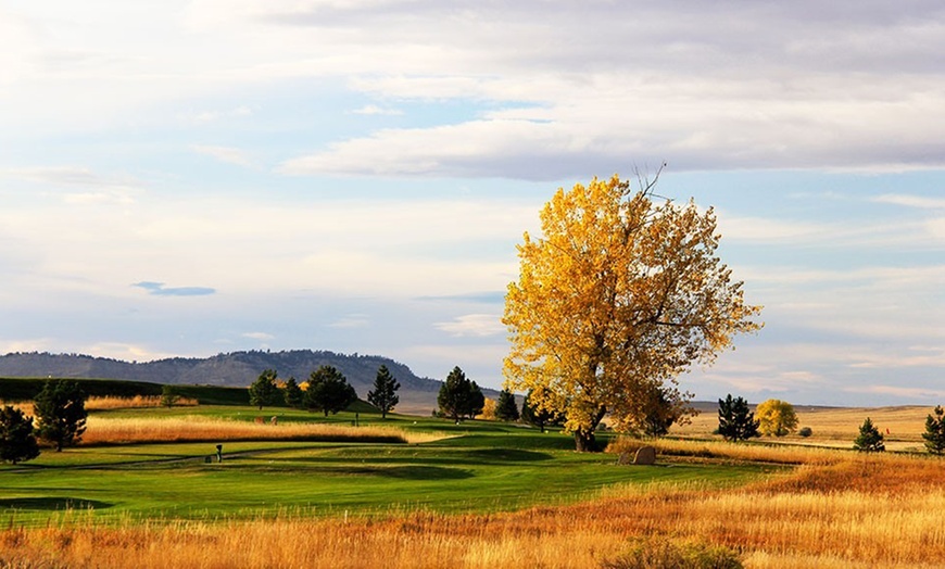 Image 5: One or Three 60- or 90-Minute Personalized Golf Lessons 