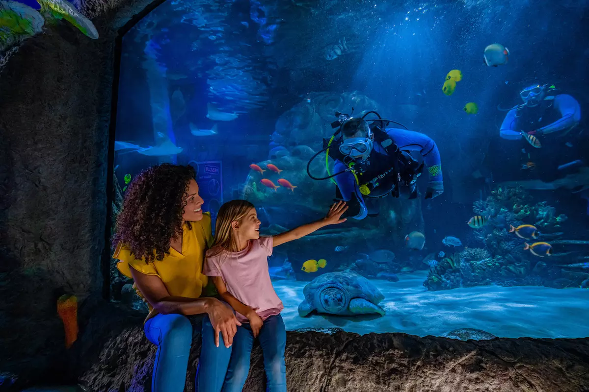 ICON Park Attraction Deals - Madame Tussauds, SEA LIFE, Orlando Eye Discounts