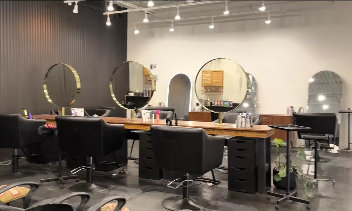 Precision Haircut 3D Finishing or Blowout with Deep Conditioning