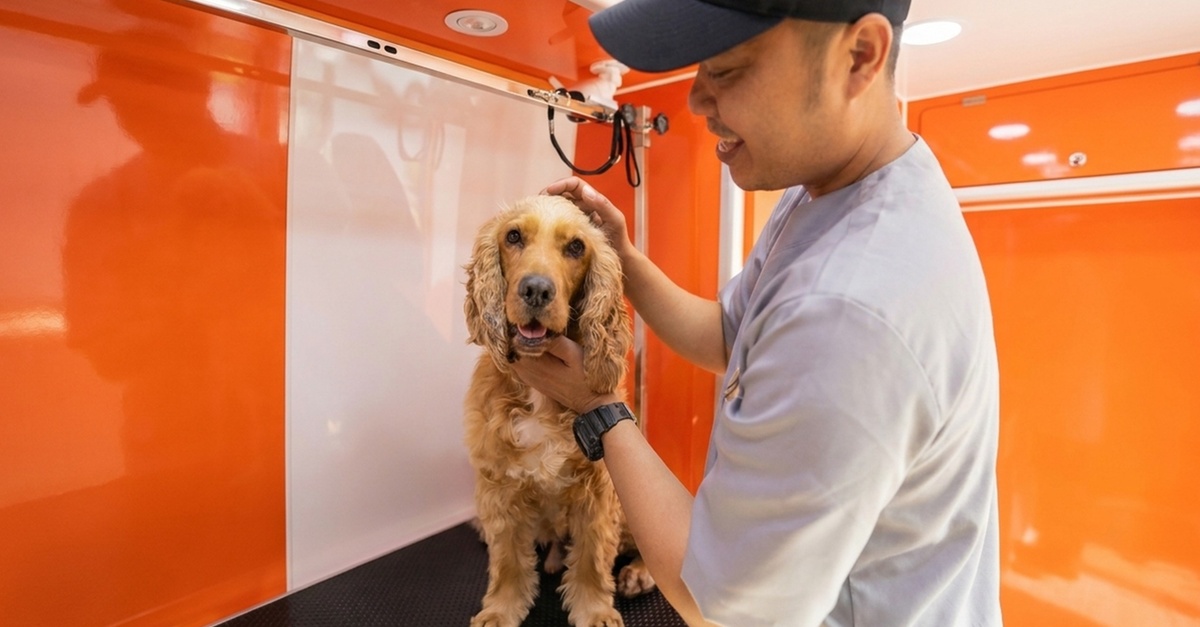 Mobile Pet Grooming At Your Doorstep: Hassle-free Care For All Pets Mobile Pet Grooming At Your Doorstep: Hassle-free Care For All Pets