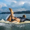 Image 6: Up to 39% Off Private Surf Lessons with Island Fiel Surf