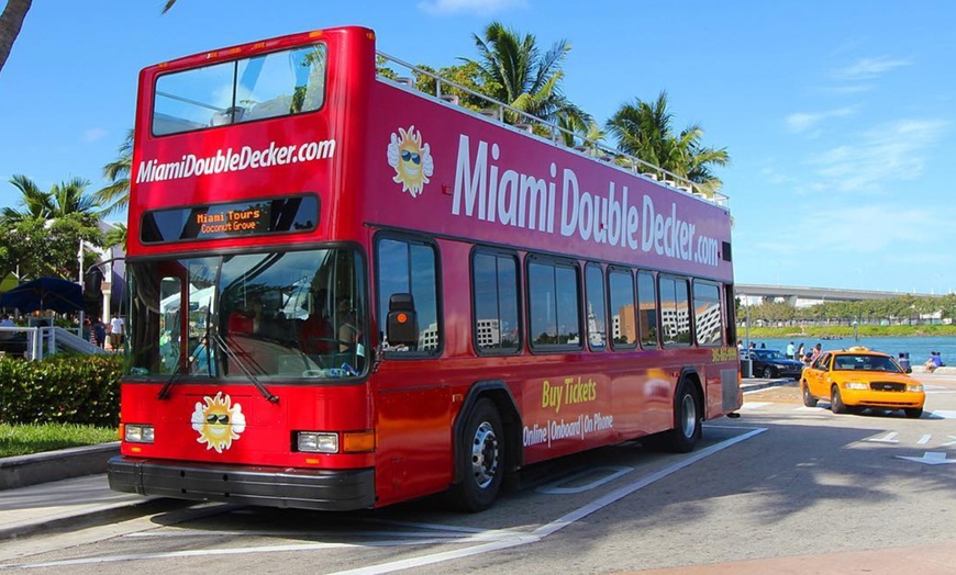 Image 5: Explore Miami's Historic Sights and Everglades' Beauty on Tours