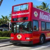 Image 5: Explore Miami's Historic Sights and Everglades' Beauty on Tours
