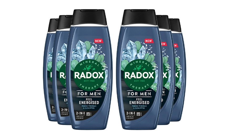 Image 9: Radox Mineral Therapy 2in1 Shower Gel and Shampoo 450ml