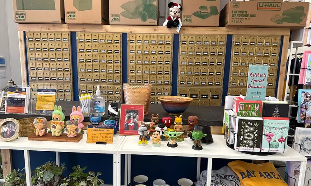 3 or 6 Month Rental - Small, Medium or Large Mailbox and More