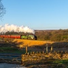 Image 4: North Yorkshire Moors Railway Day Rover Tickets: Up to 51% Off