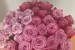 24ct Lavender & Magenta Bi-Color Valentine's Rose Bouquets from Rose Farmers Farm Fresh Roses (Up to 59% Off) - Second Medium