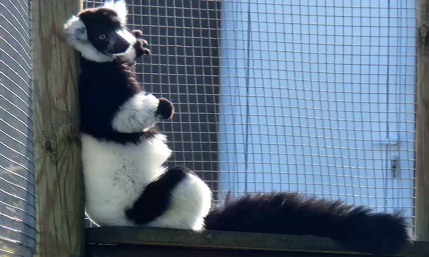 Billet enfant ou adulte pour La Réserve Exotique