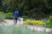 Discover Serene Beauty & Explore 86 Acres of Rare California Native Plants at California Botanic Garden - Second Medium